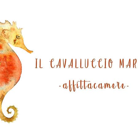 Il Cavalluccio Marino Manarola Bagian luar foto