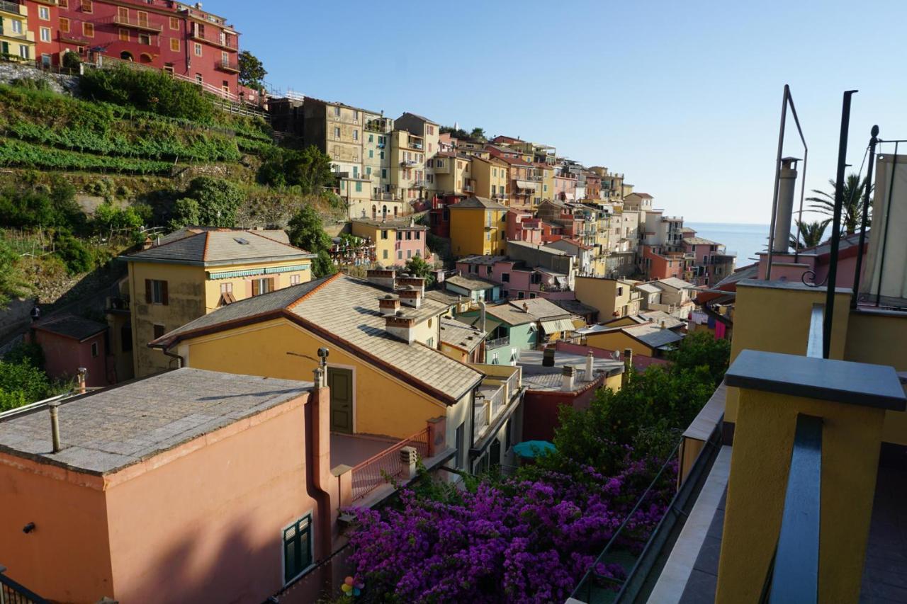 Il Cavalluccio Marino Manarola Bagian luar foto