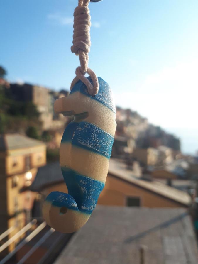 Il Cavalluccio Marino Manarola Bagian luar foto